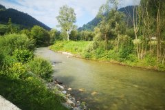 IMG_20240723_085354