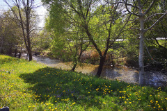 Mislinja v Slovenj Gradcu pri Sparu