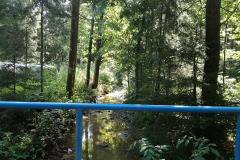 Potok Homšnica na lokaciji predvidenega suhega zadržnika visokih voda Homšnica.